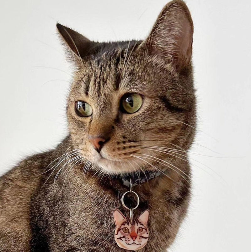 Plaquita Personalizada a Semejanza de tu Gato
