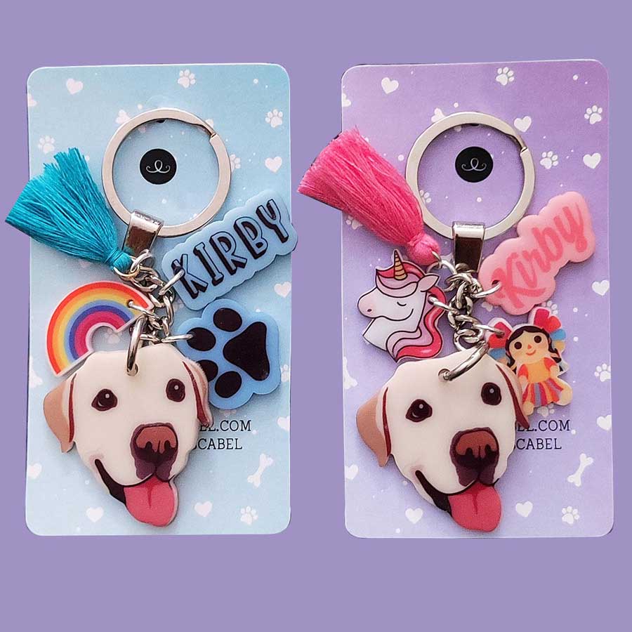 2 Llaveros Personalizados "Una Mascota"