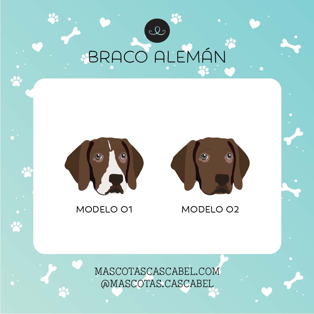 Taza o Totebag "Braco Alemán"