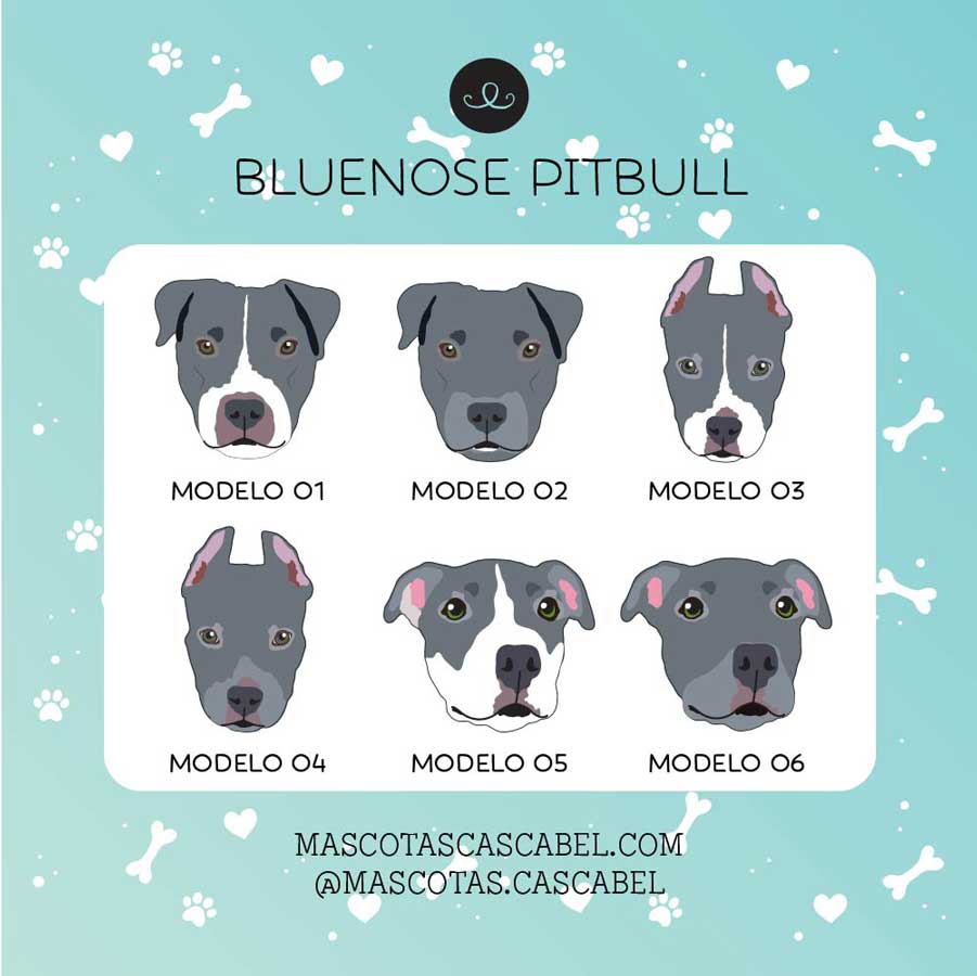 Plaquita o Llavero "Bluenose Pitbull"