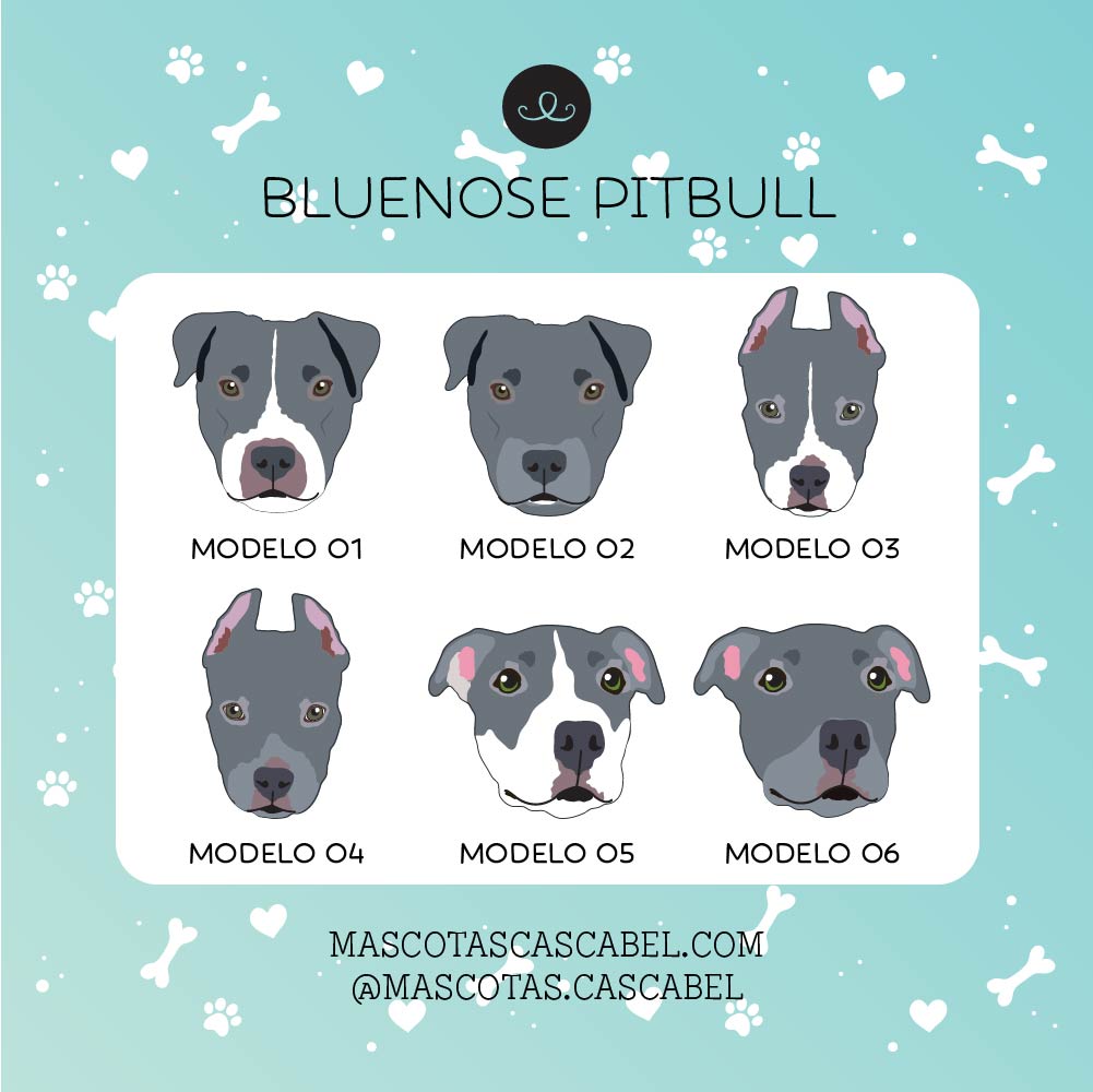 Taza o Totebag "Bluenose Pitbull"