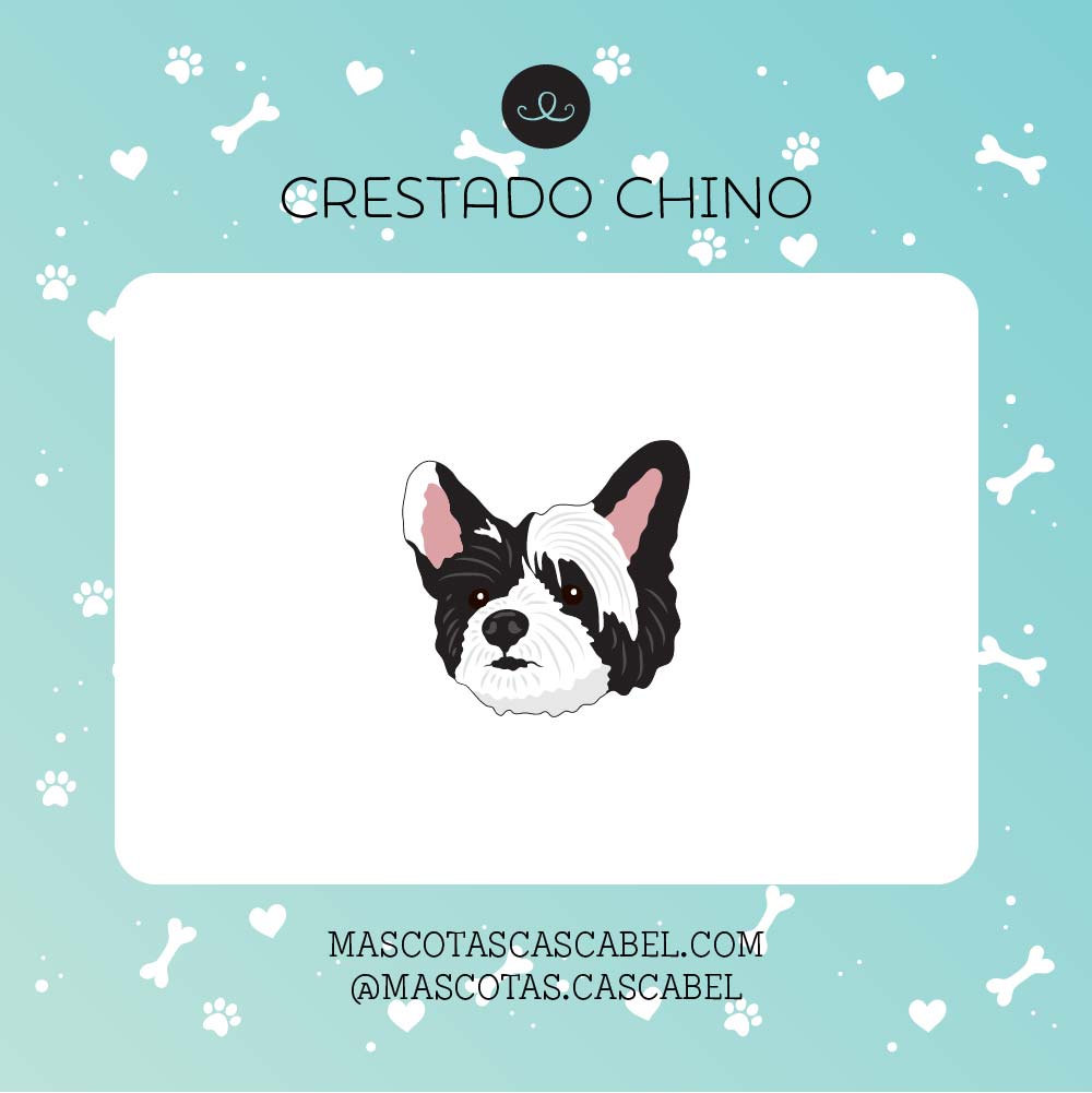 Taza o Totebag "Crestado Chino"