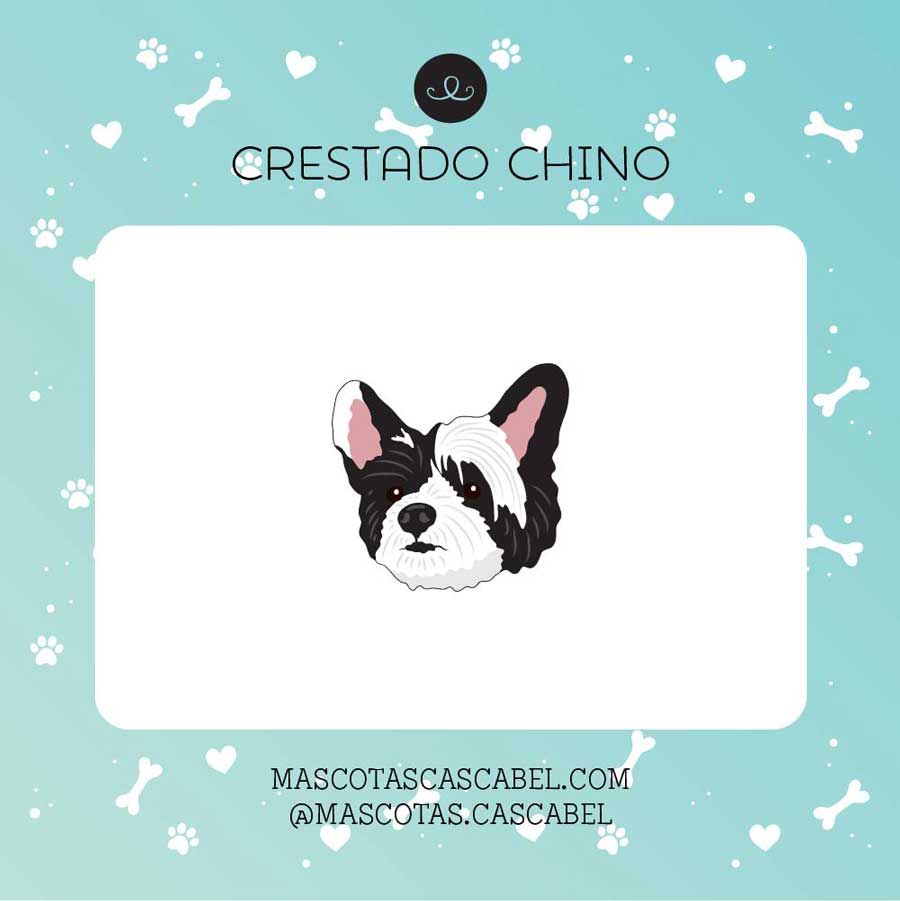 Plaquita o Llavero "Crestado Chino"