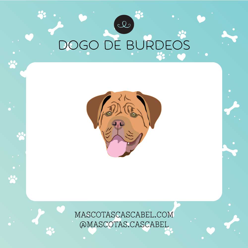 Plaquita o Llavero "Dogo de Burdeos"