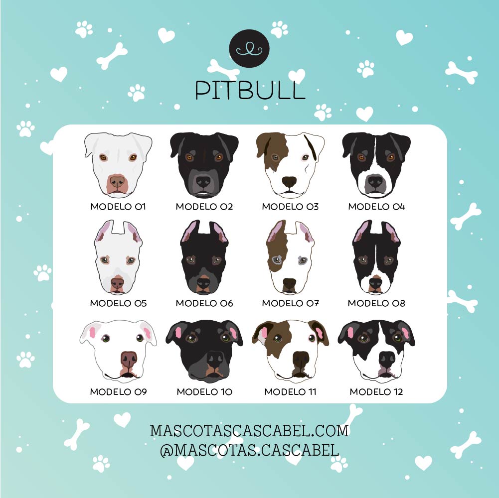 Taza o Totebag "Pitbull"