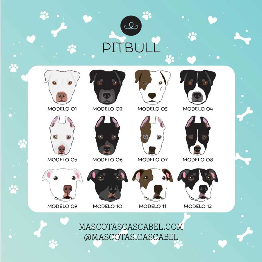 Plaquita o Llavero "Pitbull"