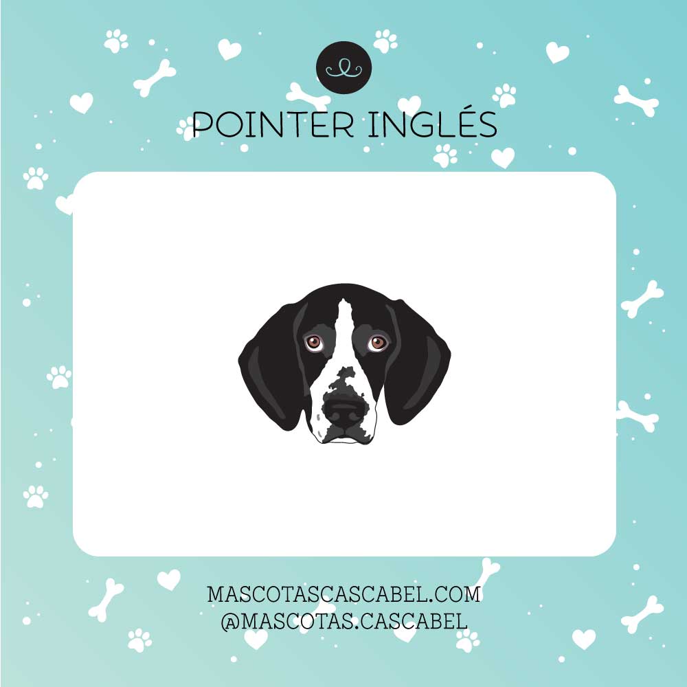 Taza o Totebag "Pointer Inglés"