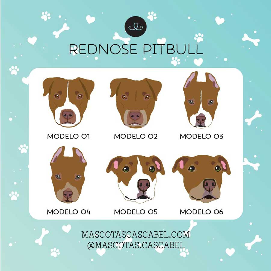 Plaquita o Llavero "Rednose Pitbull"