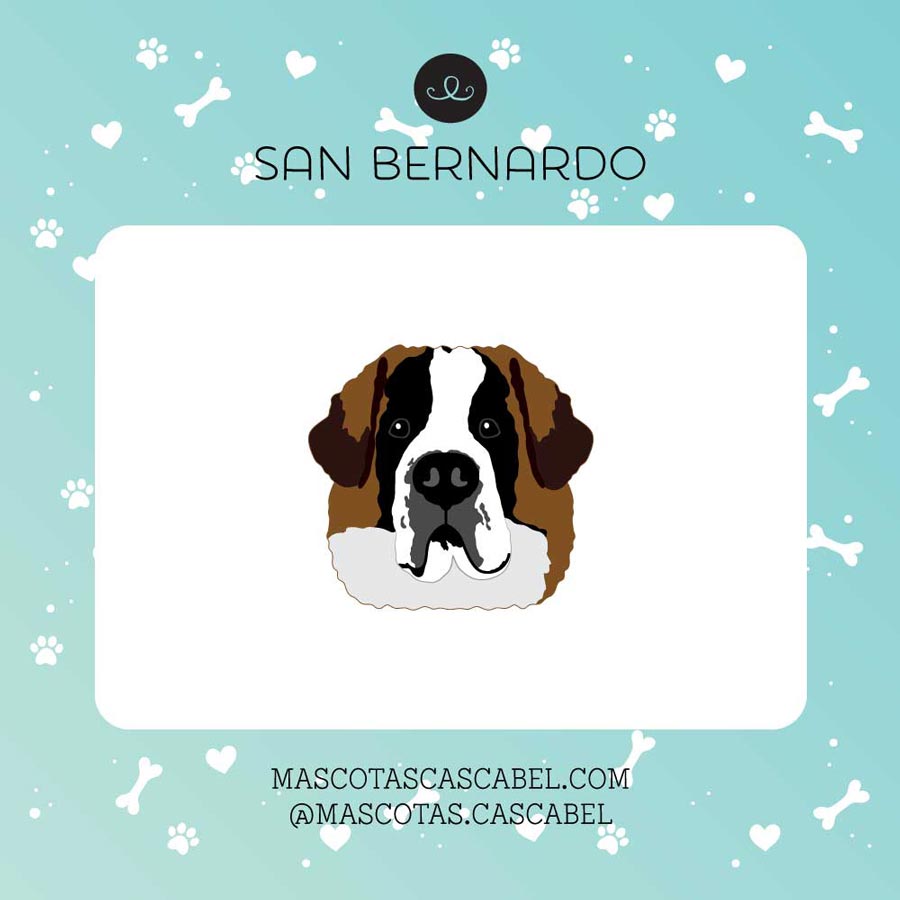 Taza o Totebag "San Bernardo"