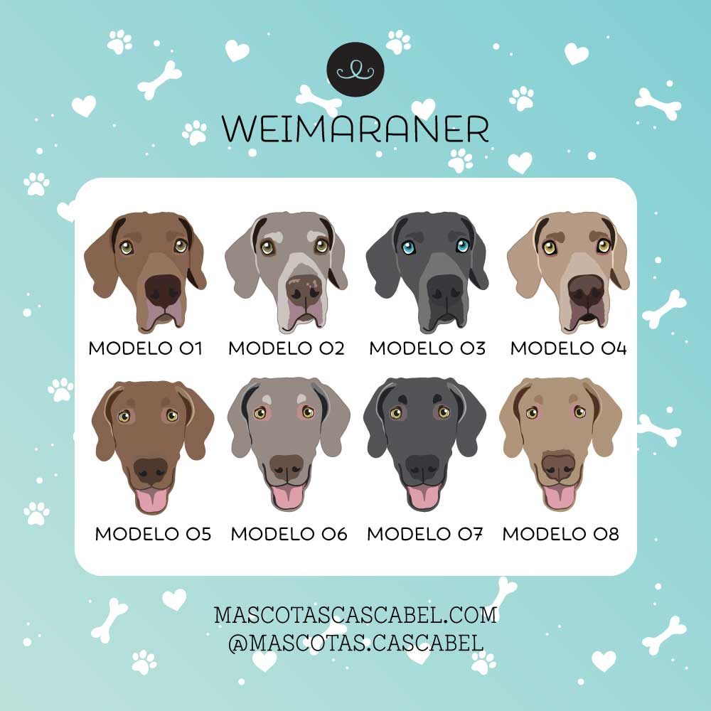 Plaquita o Llavero "Weimaraner"