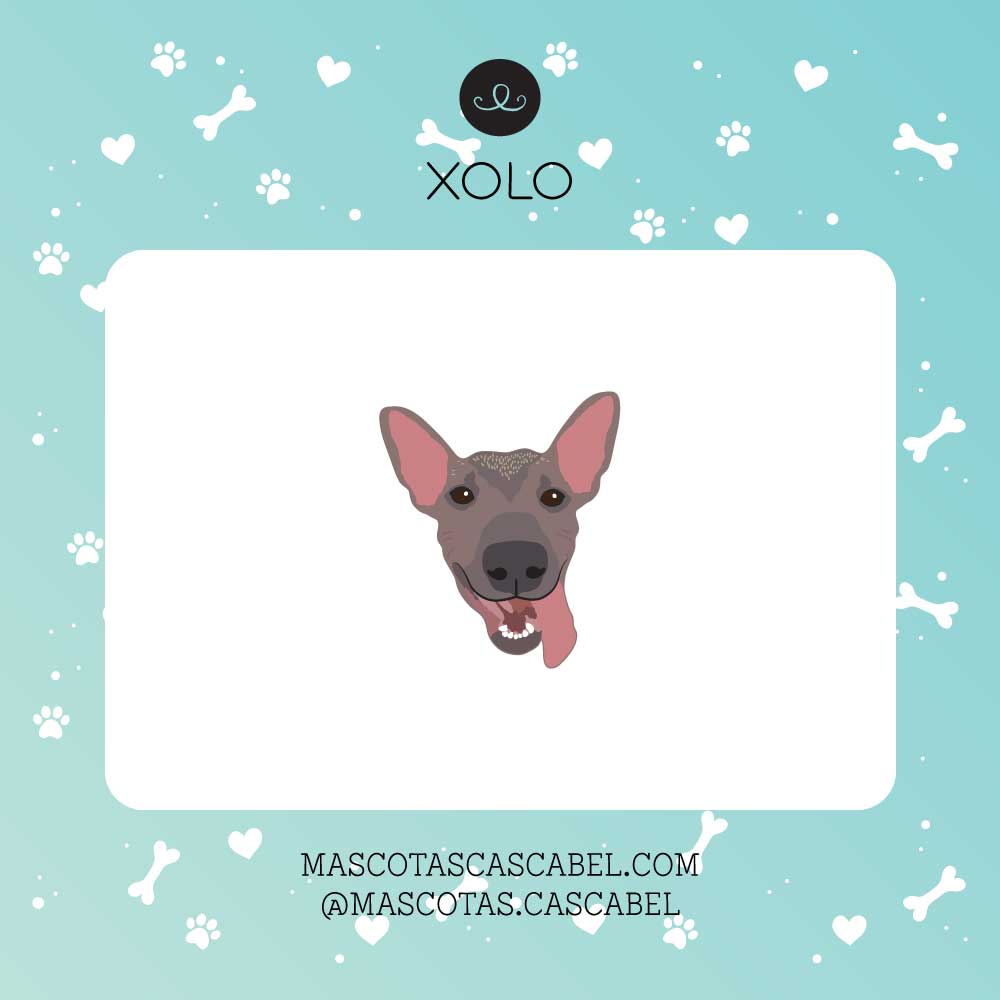Plaquita o Llavero "Xoloitzcuintle"