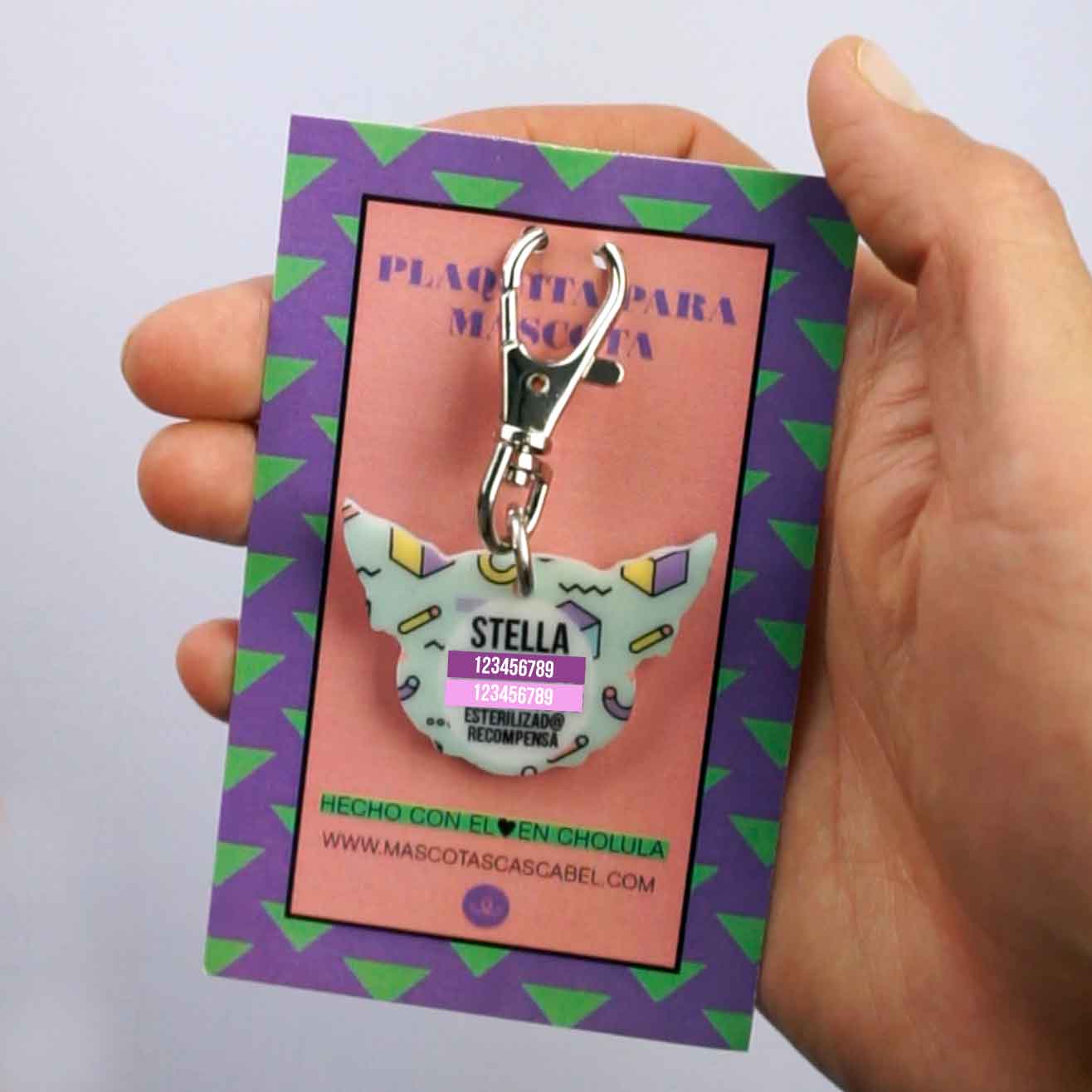 Plaquita Personalizada a Semejanza de tu Gato