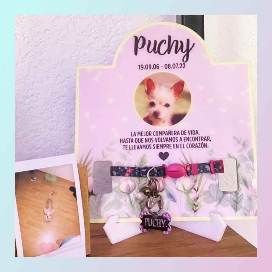 Placa conmemorativa con foto de tu mascota y espacio para el collar