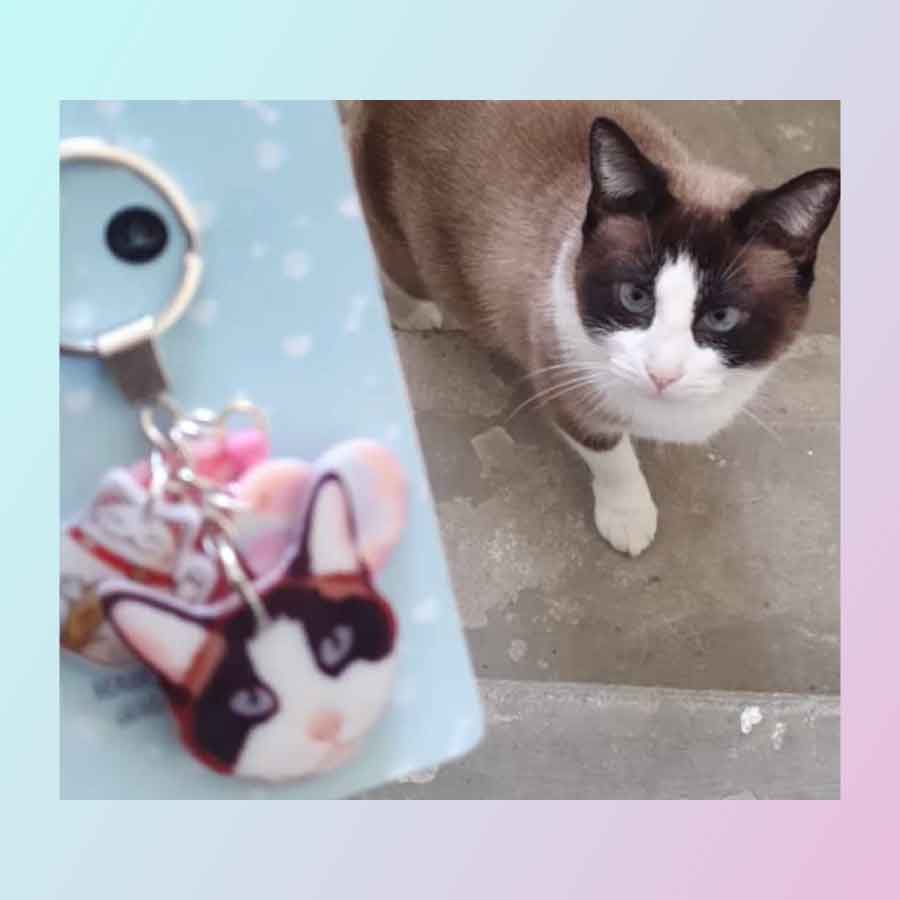 Llavero de tu Mascota "Una Carita"