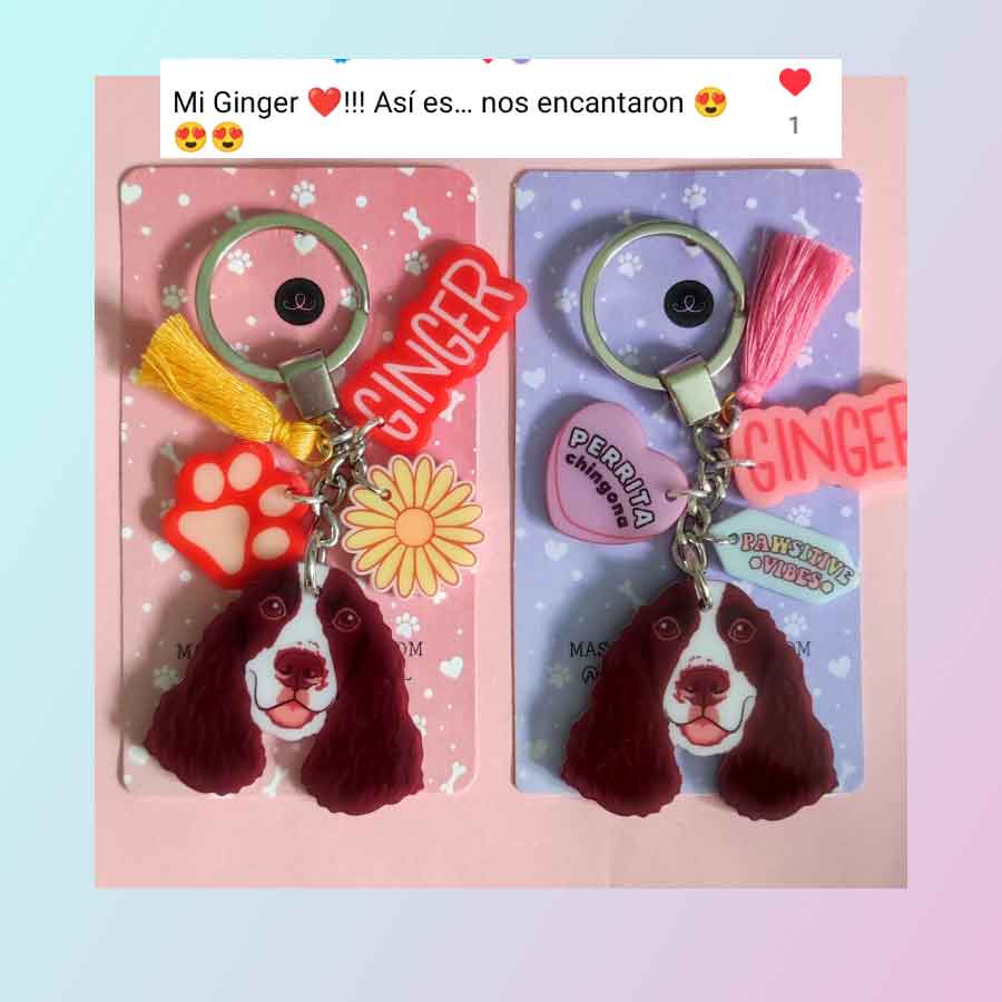 2 Llaveros Personalizados "Una Mascota"