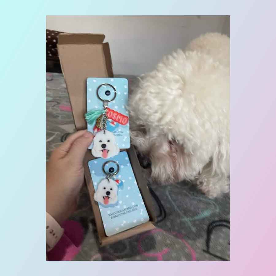 Llavero y Plaquita Personalizado de tu Mascota