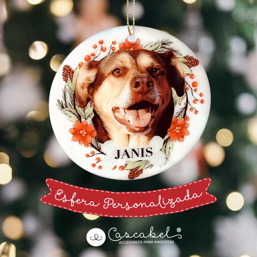 Esfera Personalizada con foto tu Mascota
