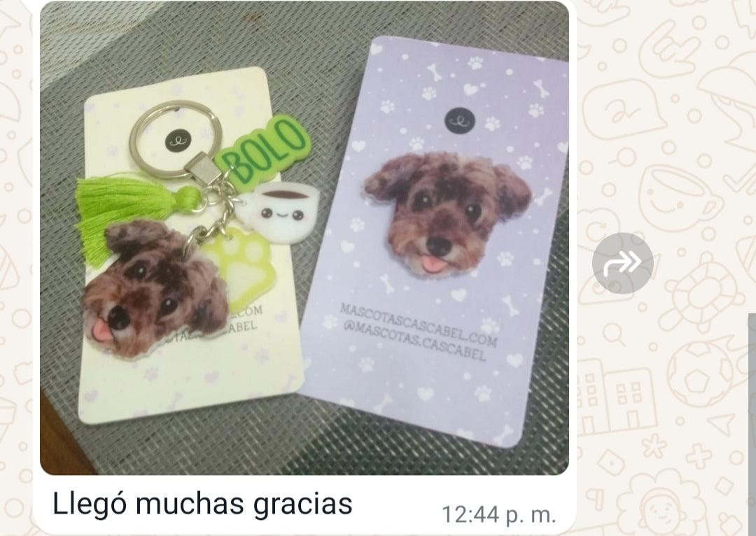 Llavero y Plaquita Personalizado de tu Mascota