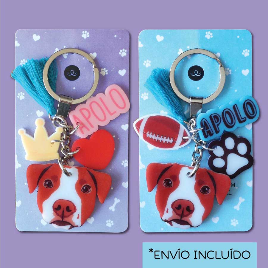 2 Llaveros Personalizados "Una Mascota"