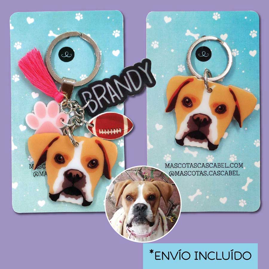 Llavero y Plaquita Personalizado de tu Mascota