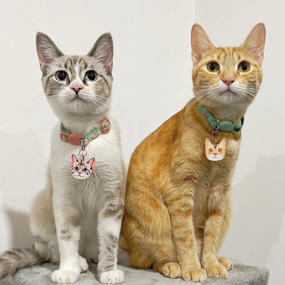 Plaquita Personalizada a Semejanza de tu Gato