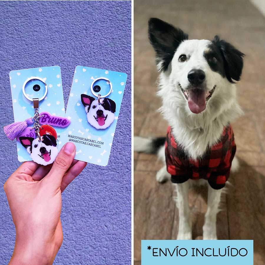 Llavero y Plaquita Personalizado de tu Mascota