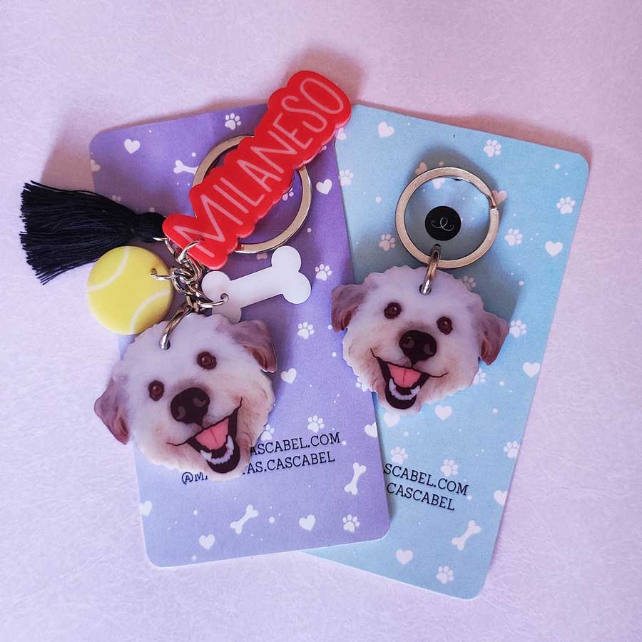 Llavero y Plaquita Personalizado de tu Mascota