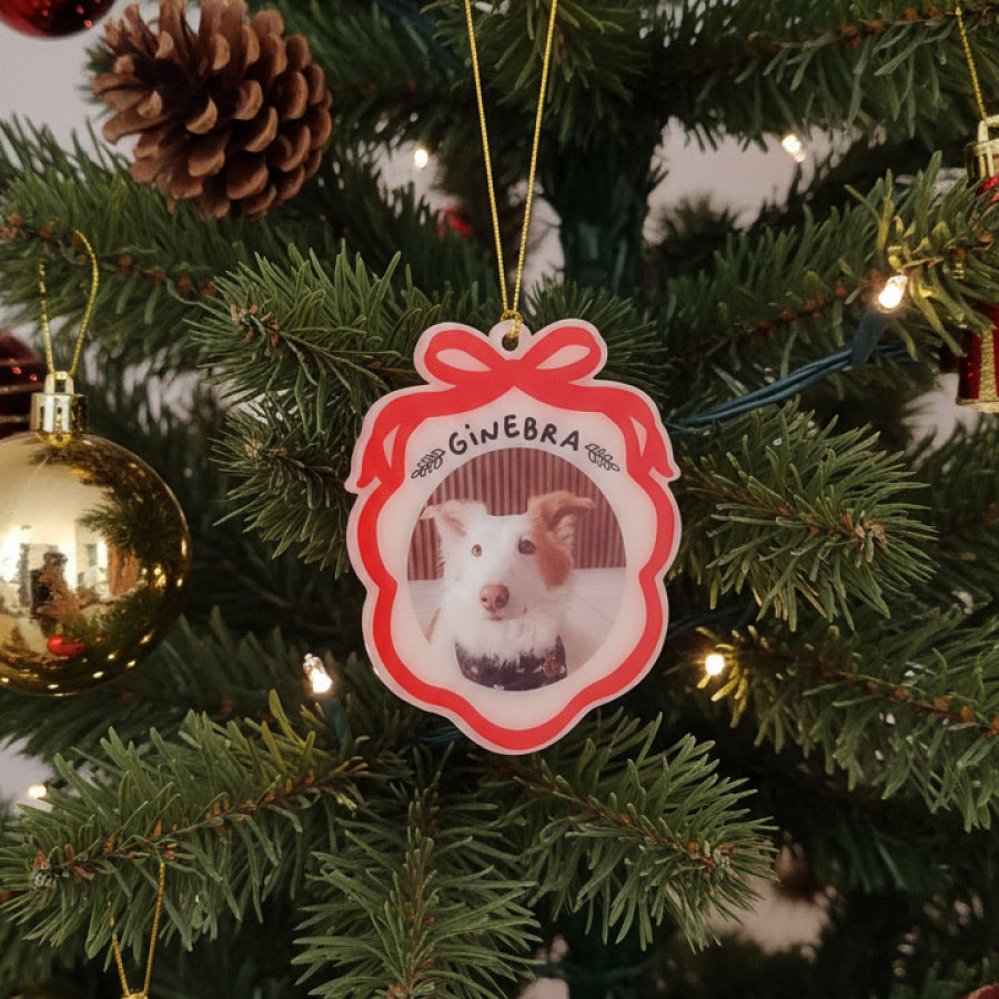 Esfera Cascabel – Edición Clásica