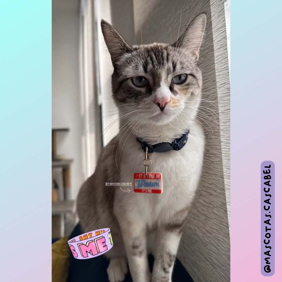 Plaquita para gato "It´s me"