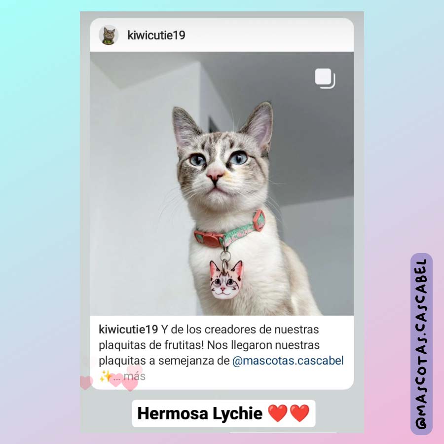 Plaquita Personalizada a Semejanza de tu Gato