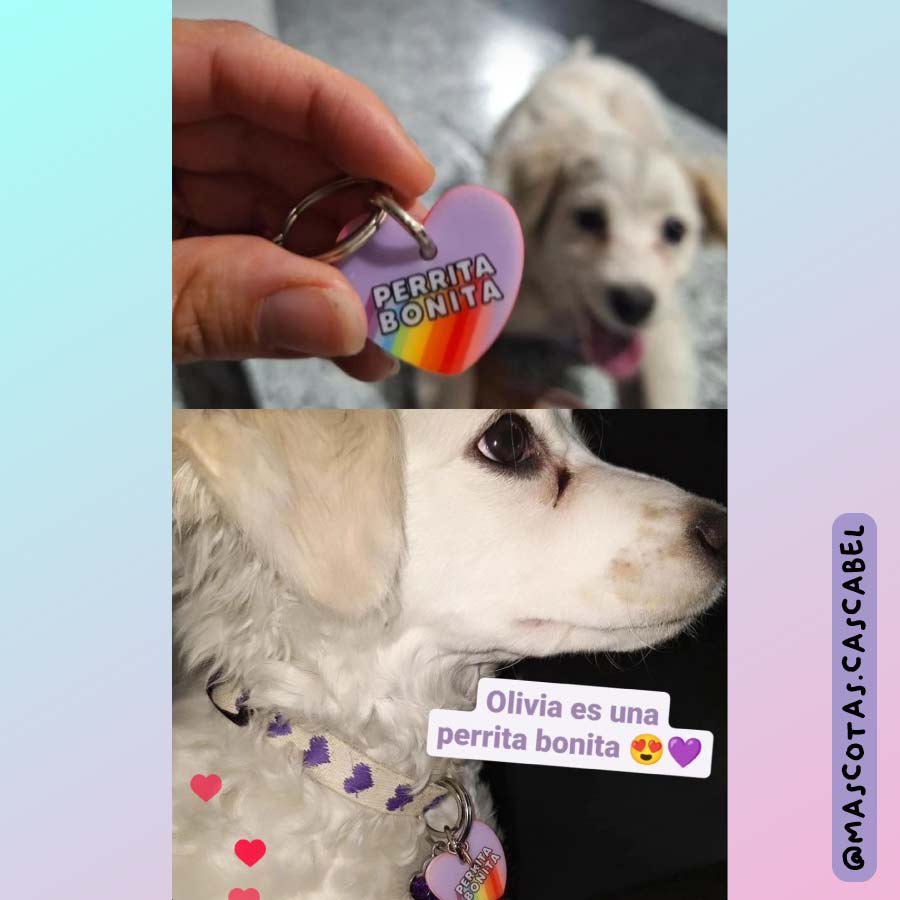 Plaquita para perro "Corazón Perrita Bonita"