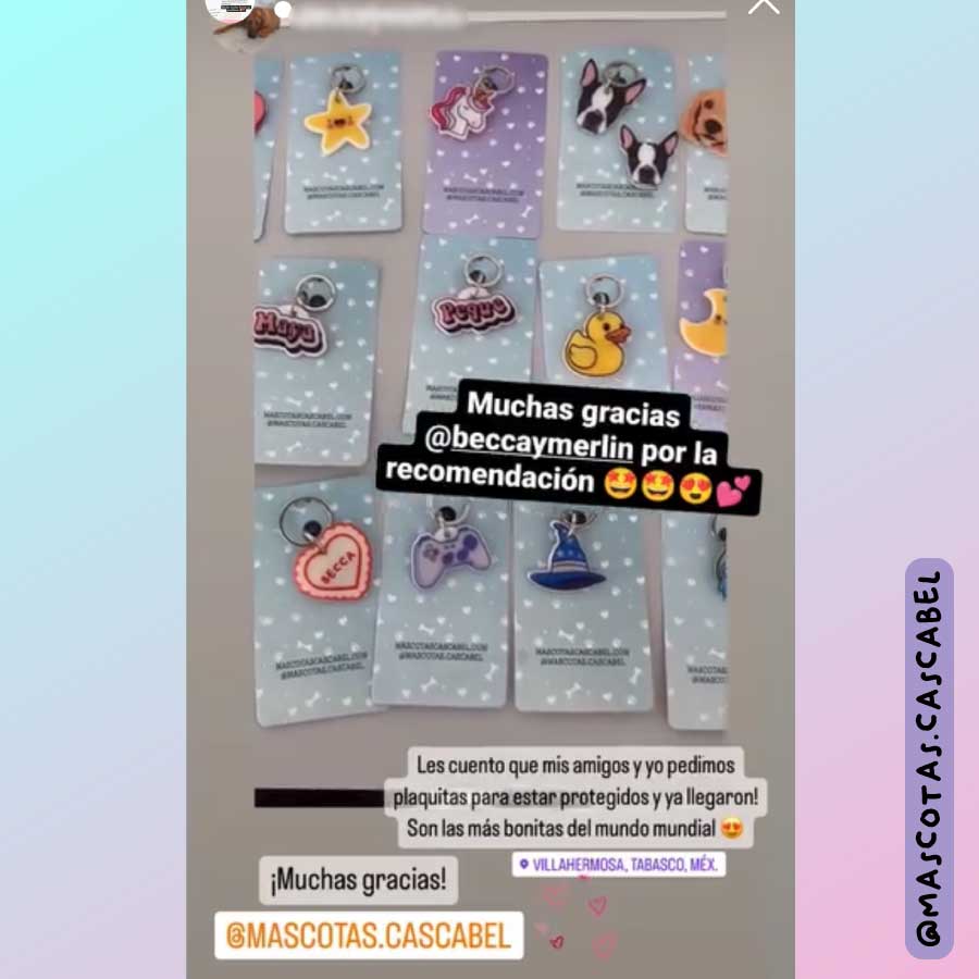 Placa para perro "Corazón Coquette"