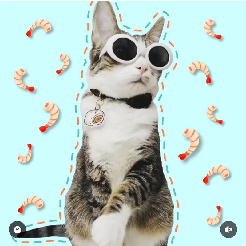 Plaquita para gato "Sushi"