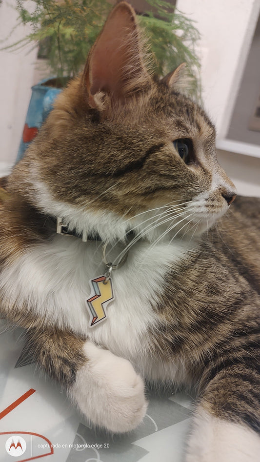 Plaquita para gato "Rayo"