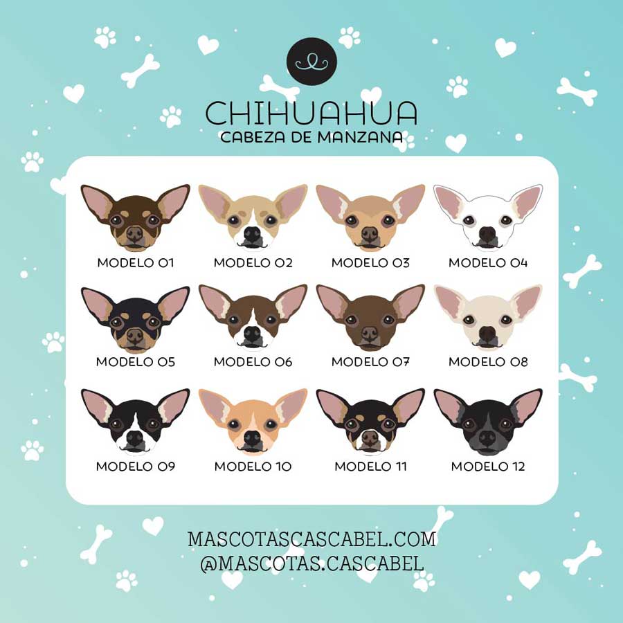Placa ID o Llavero "Chihuahua Cabeza de Manzana"