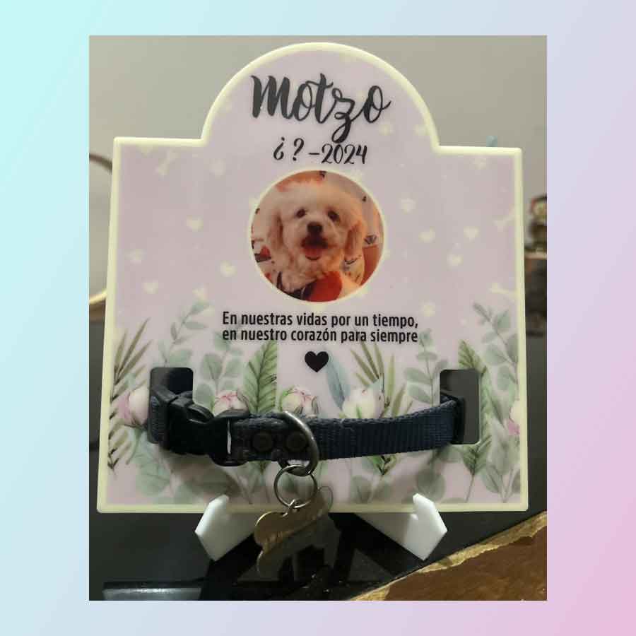 Placa conmemorativa con foto de tu mascota y espacio para el collar