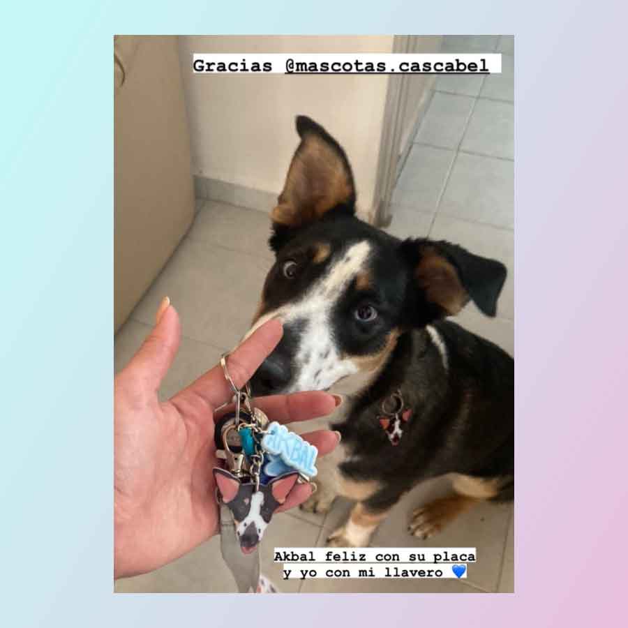 Llavero de tu Mascota "Una Carita"