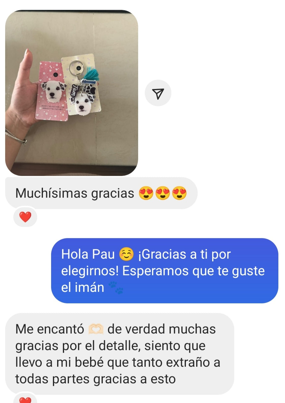 Llavero y Plaquita Personalizado de tu Mascota