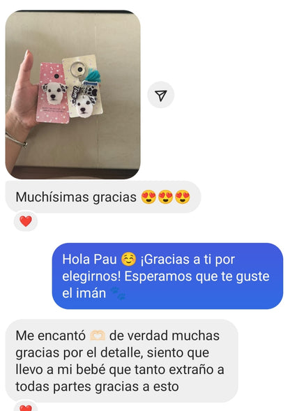 Llavero y Plaquita Personalizado de tu Mascota