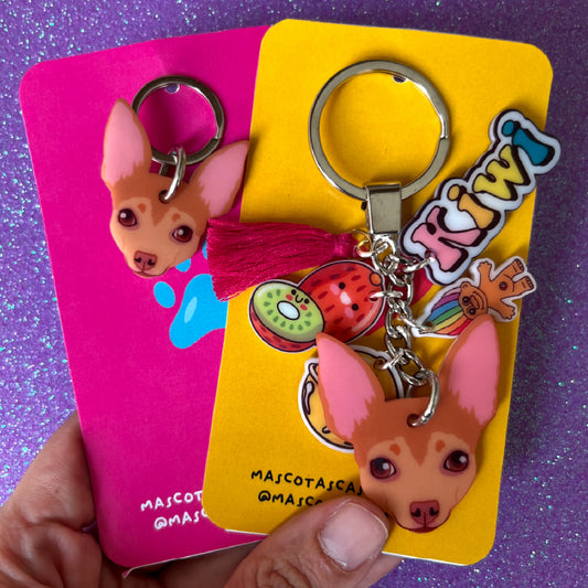 Llavero y Plaquita Personalizado de tu Mascota