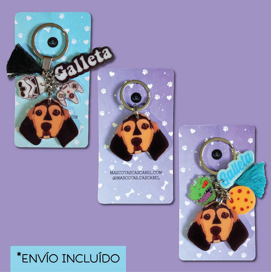 Paquete Personalizado de tu mascota