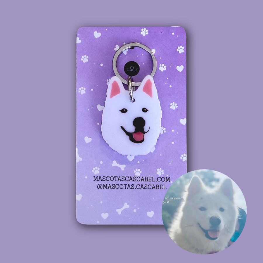 Placa para Perro Personalizada | Cascabel Accesorios