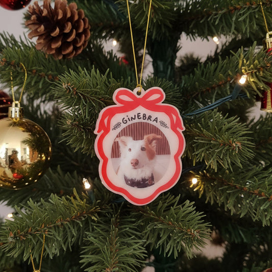 Esfera Cascabel – Edición Clásica