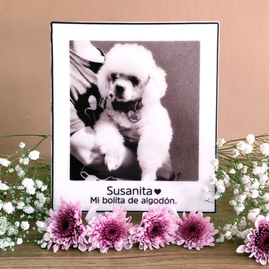 Placa conmemorativa de tu mascota con foto