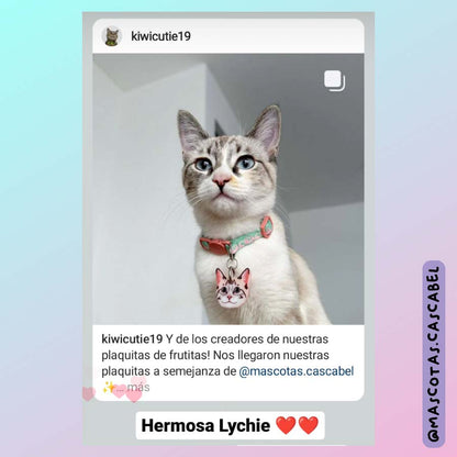 Plaquita Personalizada a Semejanza de tu Gato
