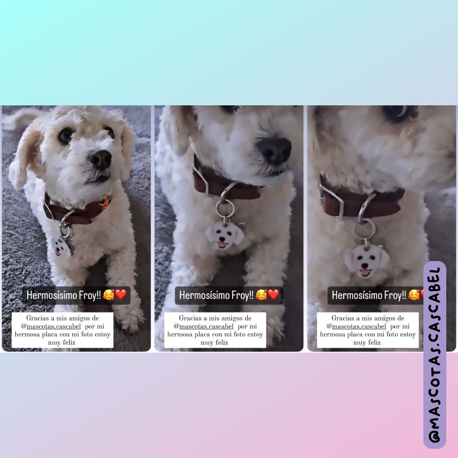 Placa ID a Semejanza de tu Perro