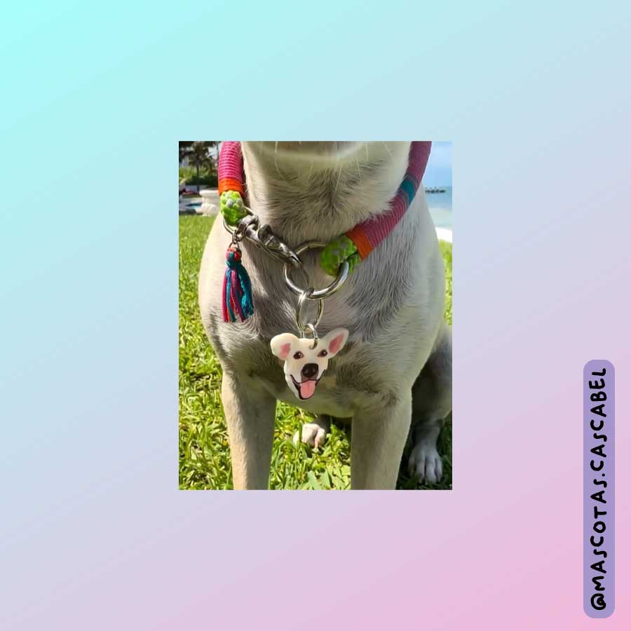 Placa ID a Semejanza de tu Perro