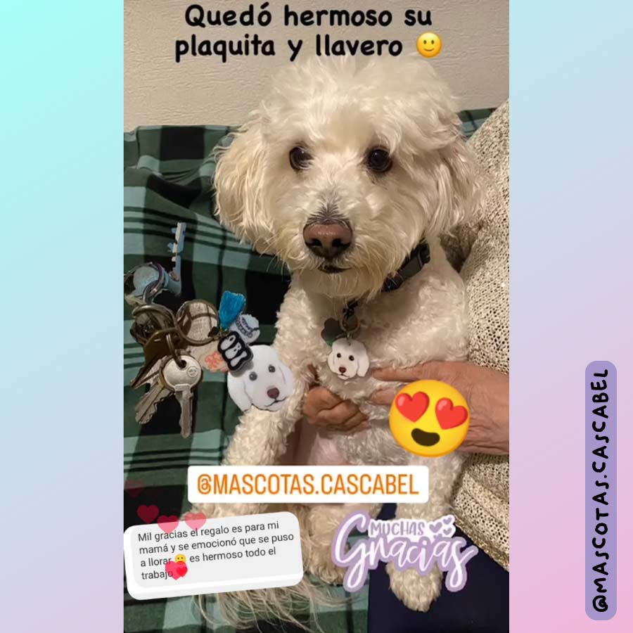 Llavero y Plaquita Personalizado de tu Mascota
