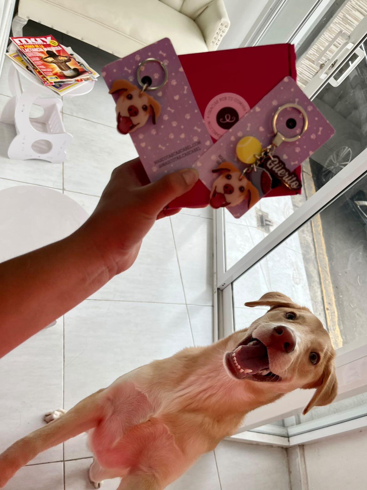 Llavero y Plaquita Personalizado de tu Mascota
