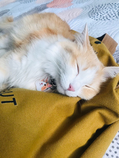 Plaquita o Llavero "Gatos Pelo Largo"
